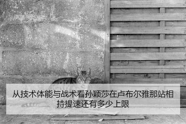 从技术体能与战术看孙颖莎在卢布尔雅那站相持提速还有多少上限