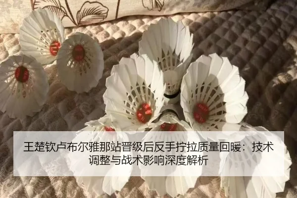 wang-chu-qin-lu-bu-er-ya-na-zhan-jin-ji-hou-fan-shou-ning-la-zhi-liang-hui-nuan-ji-shu-tiao-zheng-yu-zhan-shu-ying-2-504.jpg