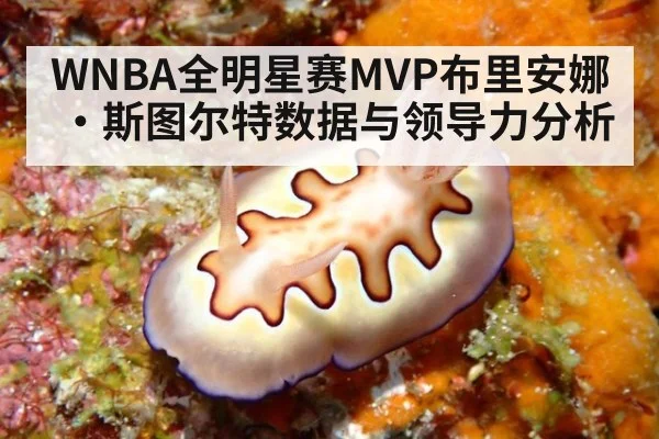 WNBA全明星赛MVP布里安娜·斯图尔特数据与领导力分析